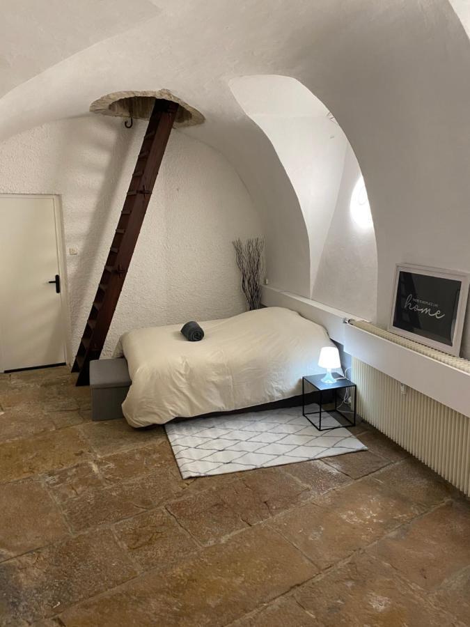 Le Souplex Des Ducs Apartment Dijon Luaran gambar
